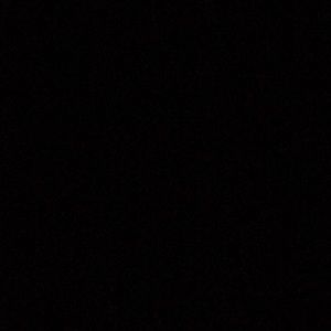 Meet your Posher, Emmie